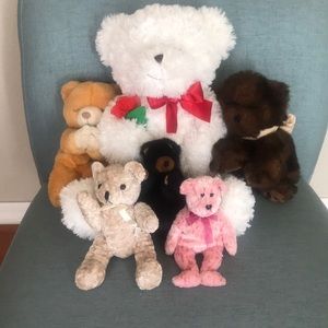 New Teddy bear collection
